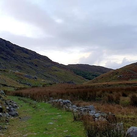 Secluded Cottage Nestled In The Beara Peninsula Cill Airne Exteriör bild