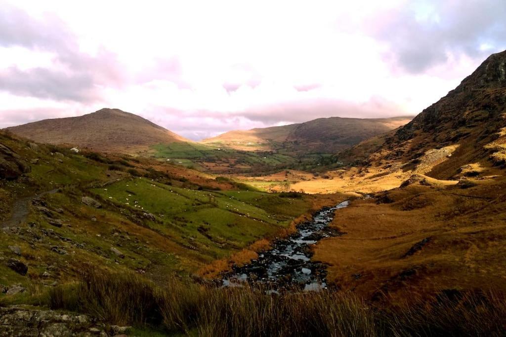Secluded Cottage Nestled In The Beara Peninsula Cill Airne Exteriör bild