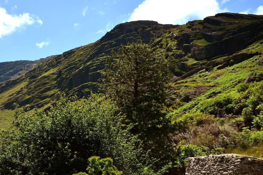 Secluded Cottage Nestled In The Beara Peninsula Cill Airne Exteriör bild