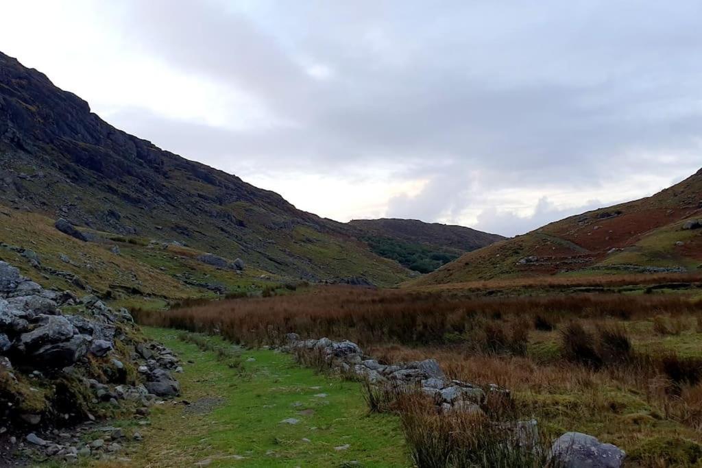 Secluded Cottage Nestled In The Beara Peninsula Cill Airne Exteriör bild